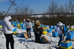 A family of beekeepers at work in the apiary"Honey river"