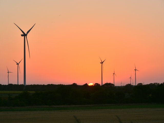 DSC_1256_Hazelnut_Breeze_Small